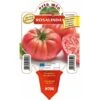 Pomodoro Gigante Sorrentone Rosalinda F1 - 1 Pianta V.10 Cm - Orto Mio