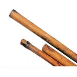Canne In Bamboo H210 Cm. Diam. 26/28 Mm. Conf. 25Pz