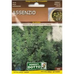 Assenzio Maggiore (Semente)