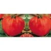 Pomodoro Cuore Di Bue