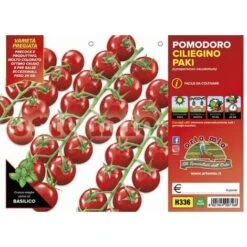 Pomodoro Ciliegino Paki F1-Edox F1 - 1 Pianta V.10 Cm - Orto Mio