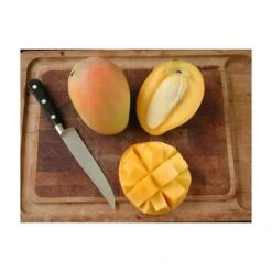 PIANTA DI MANGIFERA INDICA MANGO GLENN INNESTATA FOTO REALI H 140CM -Negozio al dettaglio Evergreen 18734230 4