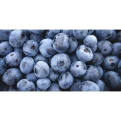 Mirtillo Gigante Americano Frutti Di Bosco Pianta Gia' Fruttifera In Vaso 11 Cm Non Specificato 11 Cm -Negozio al dettaglio Evergreen 19484473 3