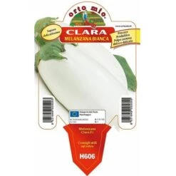 Melanzana Bianca Clara F1 - 1 Pianta Vaso Da 10 Cm - Orto Mio