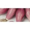 Cipolla Rossa Fiascona