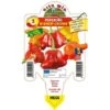 Peperoncino Piccante Bishop Crown