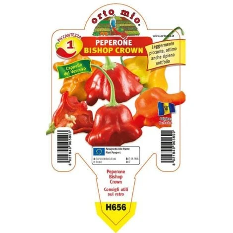 Peperoncino Piccante Bishop Crown 1 Peperoncino Piccante Bishop Crown