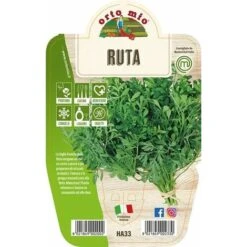 Ruta Aromatica - 1 Pianta V.14 - Orto Mio