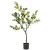 Pianta Limone C-Vaso 198Foglie H120