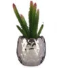 Pianta Decorativa Argentato Cactus Ceramica Plastica (8 X 20 X 8 Cm)