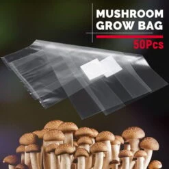 50 Pz 320x450x0.06 MM PVC Trasparente Giardino Fattoria Di Funghi Spawn Grow Bag Substrato Ad Alta Temperatura Pre Sigillabile -Negozio al dettaglio Evergreen 61553130 4