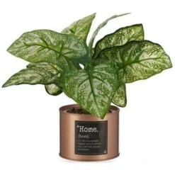 Pianta Decorativa Home Rame Lattina Metallo Plastica (26 X 26 X 26 Cm)