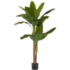 Pianta Decorativa Banano Verde Plastica (80 X 150 X 80 Cm)