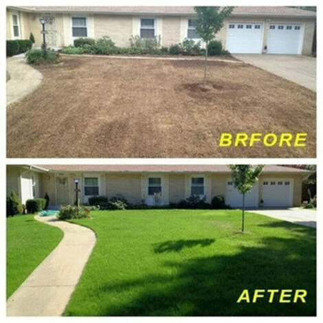 Tappetino Per Semi Di Erba Tappetino Di Paglia Biodegradabile Fertilizzante Giardino Picnic Prato Cortile Piantare Coltivare 20 300 Cm (senza Semi) 2 Tappetino Per Semi Di Erba Tappetino Di Paglia Biodegradabile Fertilizzante Giardino Picnic Prato Cortile Piantare Coltivare 20 300 Cm (senza Semi) - immagine 2