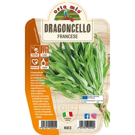 ORTO MIO Dragoncello 1 ORTO MIO Dragoncello