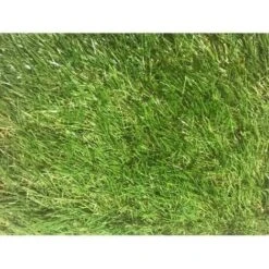 Prato Sintentico Per Giardino Da 20 Mm - 2x5 Mt - 3 Toni -Negozio al dettaglio Evergreen 96265431 3