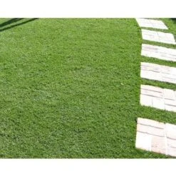 Evergreen Prato Sintetico Artificiale Drenante Divina Garden 30mm 1x25mt 5 Evergreen Prato Sintetico Artificiale Drenante Divina Garden 30mm 1x25mt -Negozio al dettaglio Evergreen 96272660 3