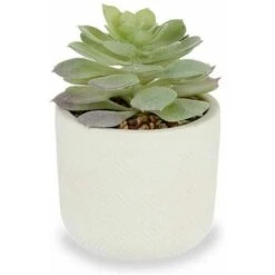 Pianta Decorativa Bianco Verde Plastica