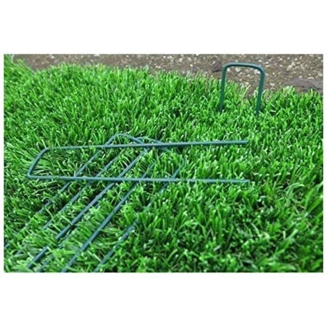 Negozio al dettaglio Evergreen -Negozio al dettaglio Evergreen 51280623 2